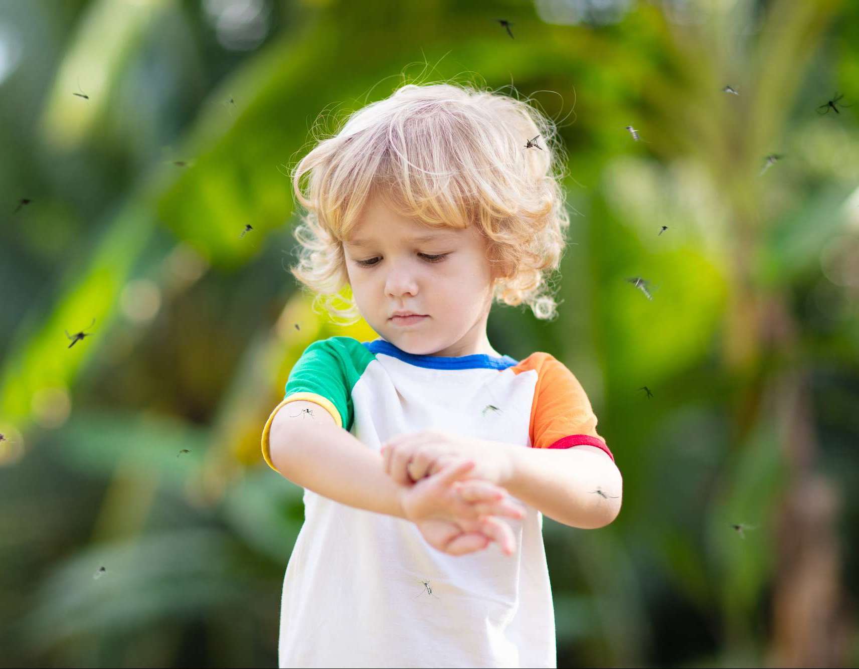 Mosquitoes swarming a small boy.