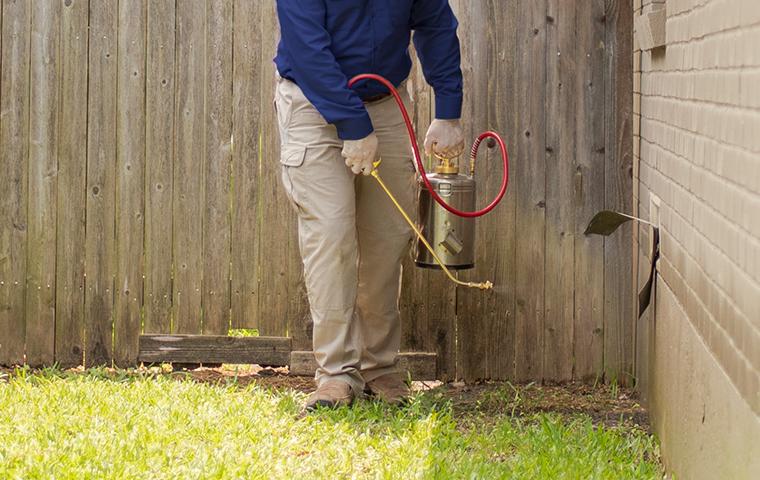 An Alliance Pest Services Technician spraying pesticide in a yard