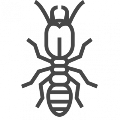Termite Logo